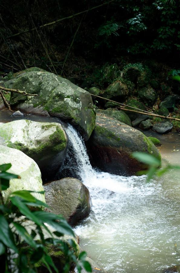 Martinique Treehouse Βίλα Canton Suisse Εξωτερικό φωτογραφία