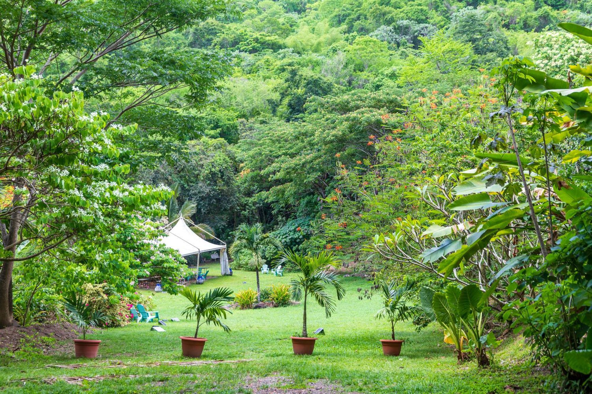 Martinique Treehouse Βίλα Canton Suisse Εξωτερικό φωτογραφία