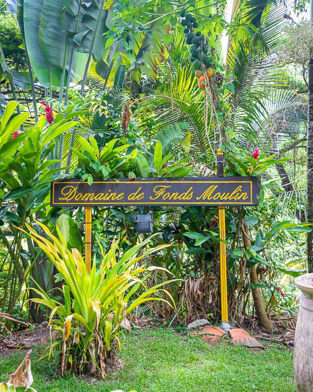 Martinique Treehouse Βίλα Canton Suisse Εξωτερικό φωτογραφία