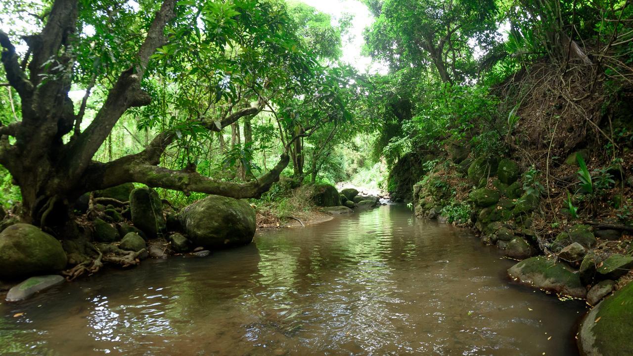Martinique Treehouse Βίλα Canton Suisse Εξωτερικό φωτογραφία