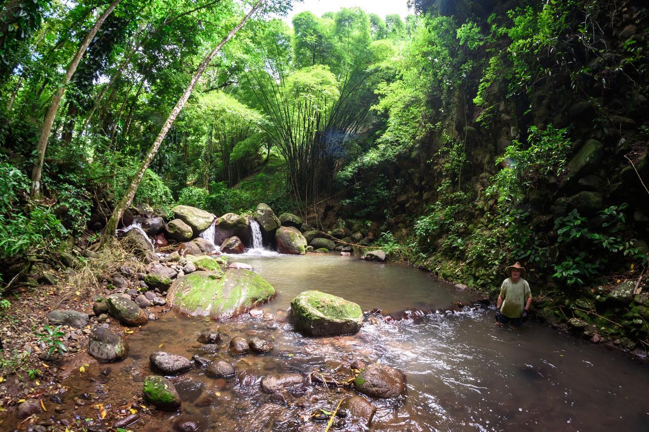 Martinique Treehouse Βίλα Canton Suisse Εξωτερικό φωτογραφία