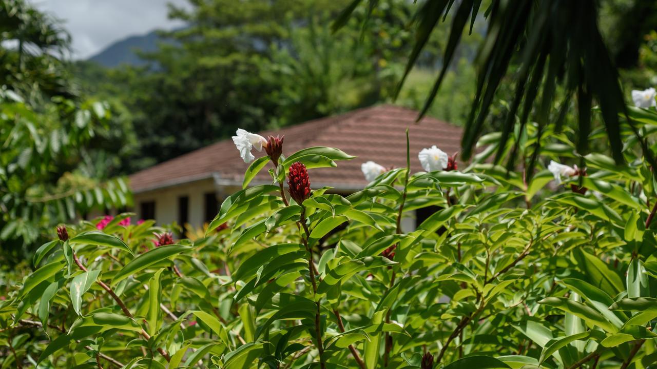 Martinique Treehouse Βίλα Canton Suisse Εξωτερικό φωτογραφία