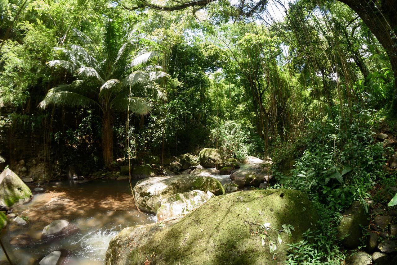 Martinique Treehouse Βίλα Canton Suisse Εξωτερικό φωτογραφία
