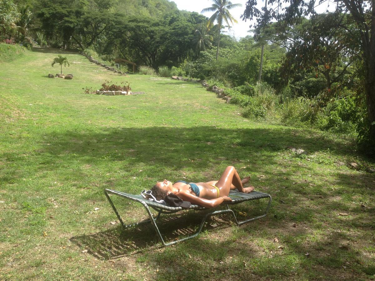 Martinique Treehouse Βίλα Canton Suisse Εξωτερικό φωτογραφία