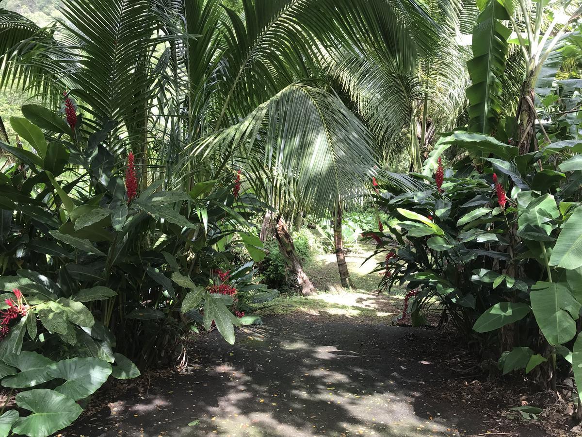 Martinique Treehouse Βίλα Canton Suisse Εξωτερικό φωτογραφία