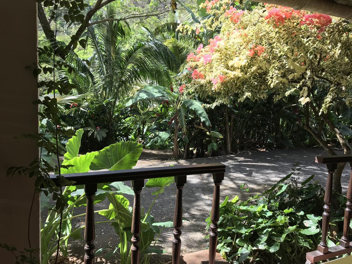 Martinique Treehouse Βίλα Canton Suisse Εξωτερικό φωτογραφία