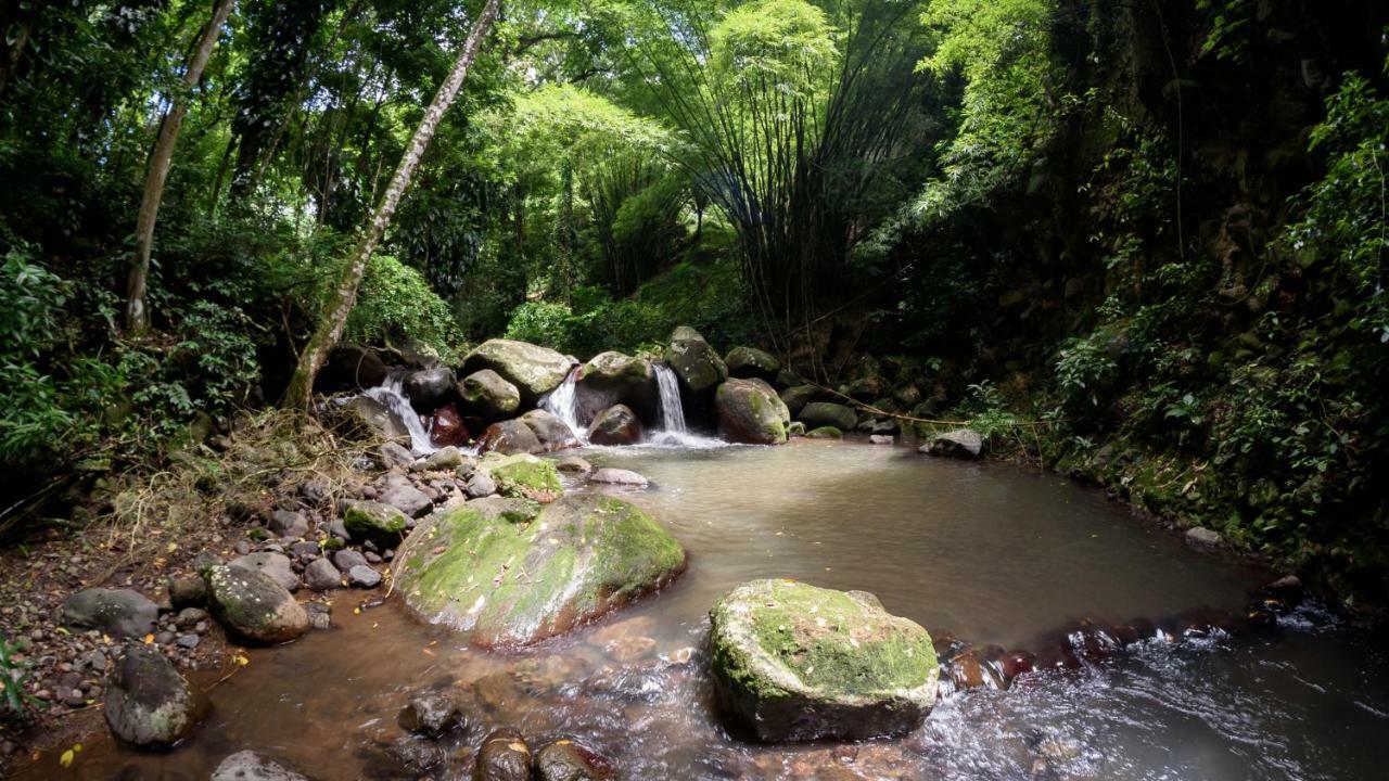 Martinique Treehouse Βίλα Canton Suisse Εξωτερικό φωτογραφία