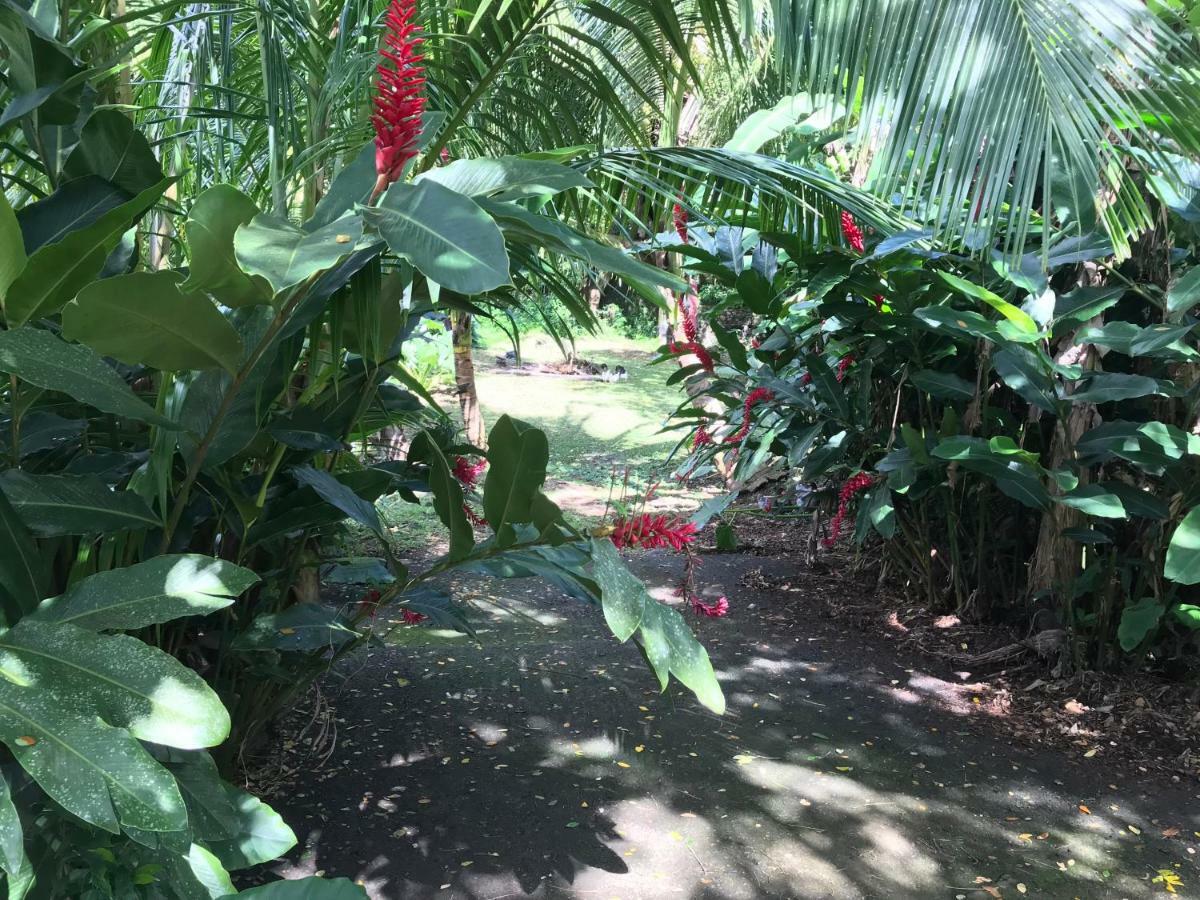 Martinique Treehouse Βίλα Canton Suisse Εξωτερικό φωτογραφία